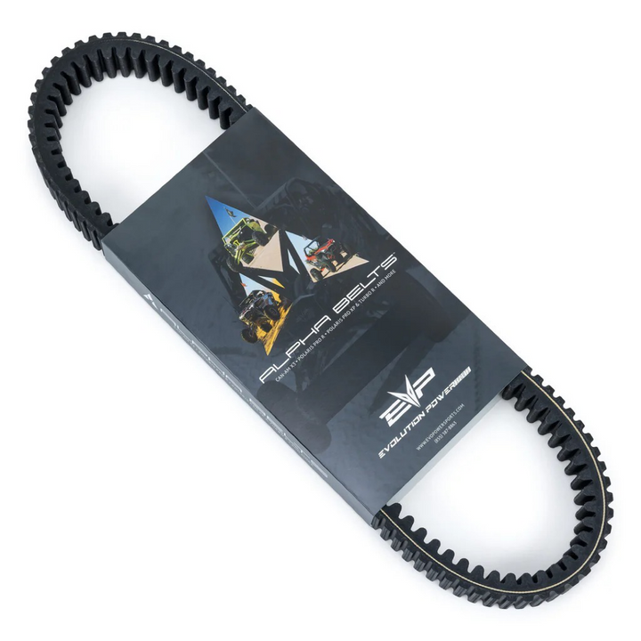 Alpha Drive Belt