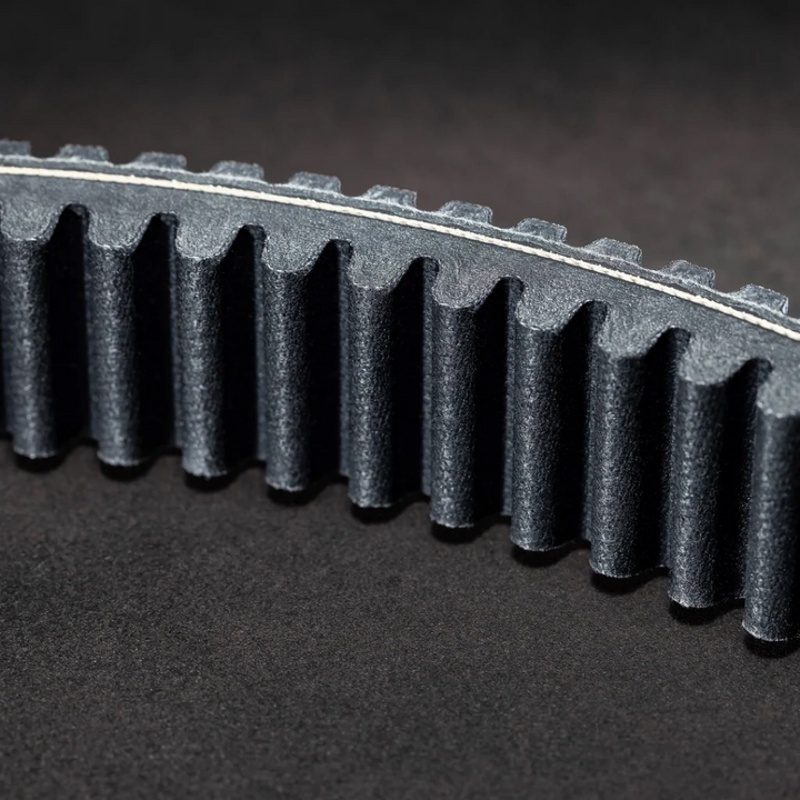 Alpha Drive Belt