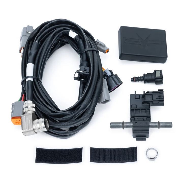 Flex Fuel Upgrade For E85 | Maverick R